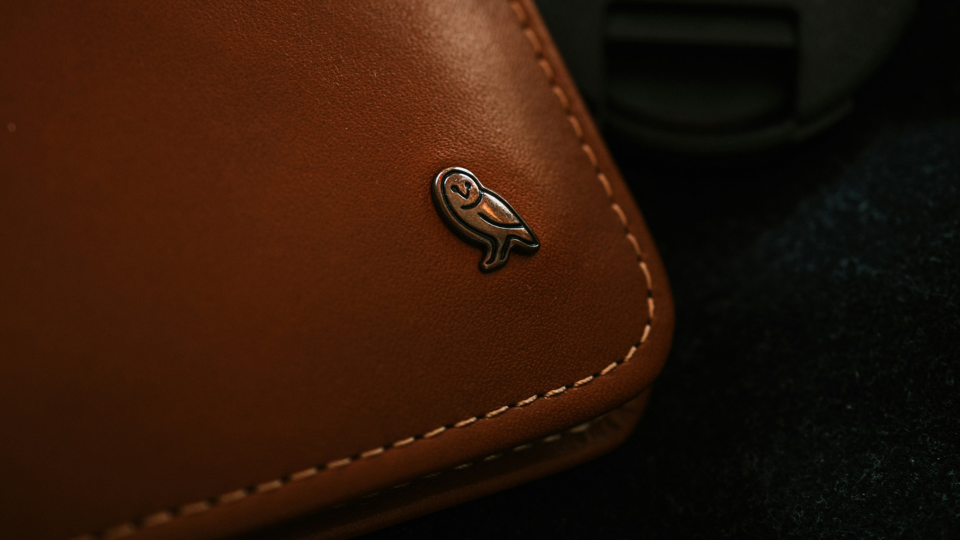 Detail or Macro Shot